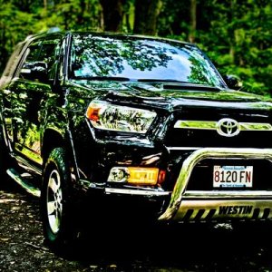 Foxboro,MA state forest