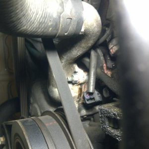 I spotted this... note the seepage directly left of the electrical plug in the centre of the picture... the coolant tube... crap I'm supposed to be le