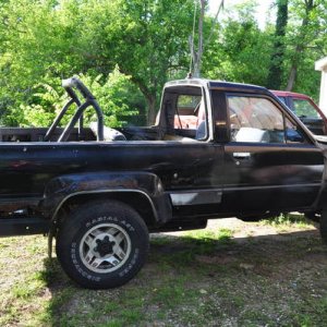 KITTENS AND TYLERS TRUCK 05 2012 018