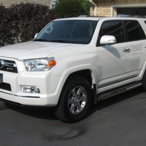 TRD Badges/35% Front Tints