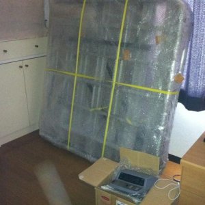 Got in the carrier last night. Apartment is getting smaller so will be contacting the freight company sooner than anticipated.
昨夜キャリアが届いて、部屋がだんだん狭くなって