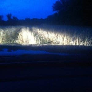 It got dark quick (that tends to happen when you're having fun :).  If you look closely you can see a Praying Mantis on the hood.