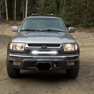 Moose lights