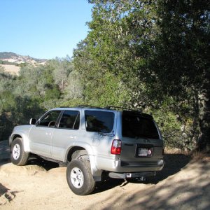 IMG 3848   Copy