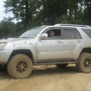dirty bird