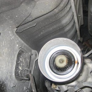 IMG 3657