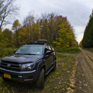 Autumn Drive