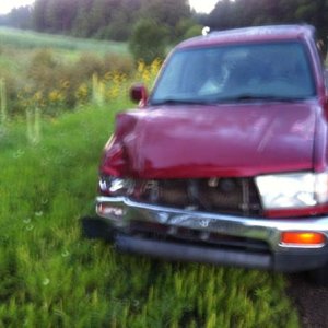 This is Ruby, moments after the accident.  I was headed up to Fly fish and while coming around a blind corner, I collided with a cow that was running 