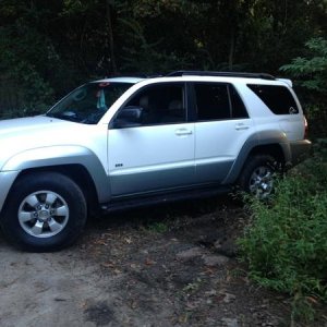 Just took it out the woods.