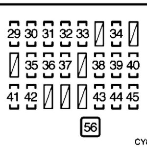 155599318