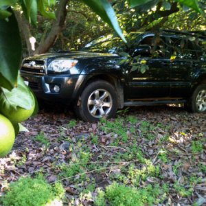 I was sliding sideways back down the tiny road in L4 from the weigh of the truck on the wet leaves with decomposed granite mud underneath. Even with a