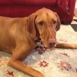 When are going on a walk?