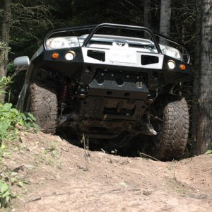 Look a new Bumper
