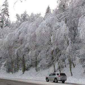 snowRunner