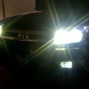 All HIDs and LEDs