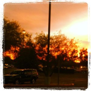 Desert sunsets and my t4r... these are a few of my favorite things!