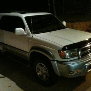 First night I brought her home