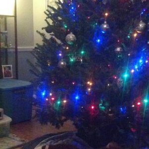 But, where are my presents?