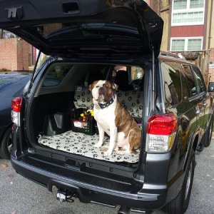 Phantom in the 4Runner