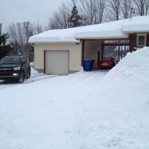 IMG 1979
