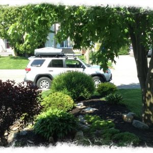 My T4R parked in front of the house...