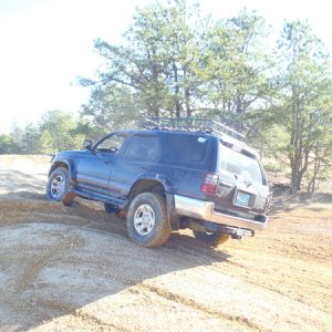 pinebarrens010612 001