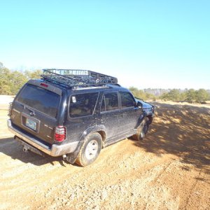 pinebarrens010612 002