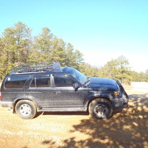 pinebarrens010612 003