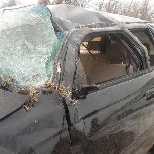 Victim of black ice