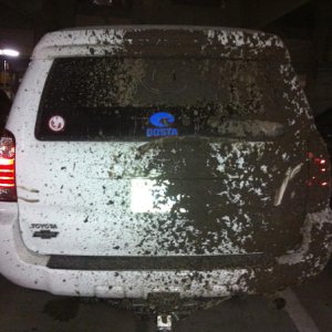 Buddy of mine in an old F150 pulled me out in reverse and shot mud all through my wind shield **Lesson learned** Nov. '12