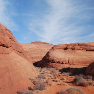 DSC 0833