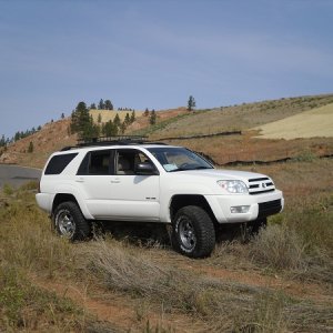 SDC10238 2