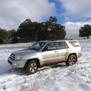 Playing in the snow