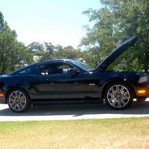SOLD... My 2011 5.0L.. God I loved this car..