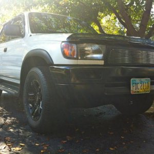 Freshly washed