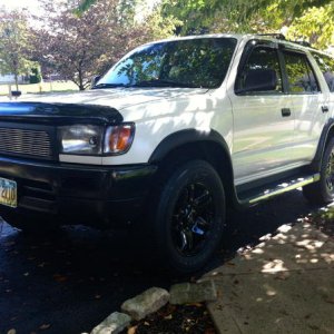 Freshly washed