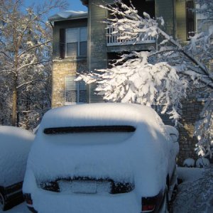 Close call, Winter Storm Euclid.  Tree fell on the Mustang in the parking space to the right of the 2WD 4Runner