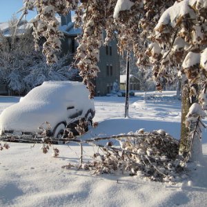 not so close of a call, a lot of snow though