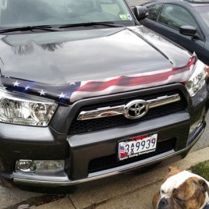 New Stampede Hood Protector