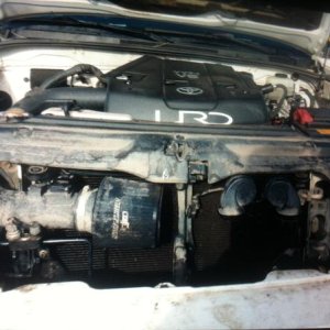 Front view. Pretty mean lookin