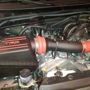 new intake