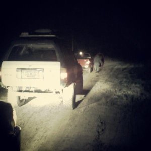 night trail ride, i was there as the "recovery vehicle" that got recovered a few times.