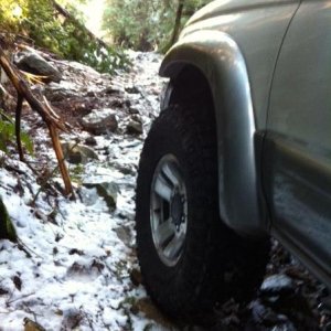 photo 4 (1)