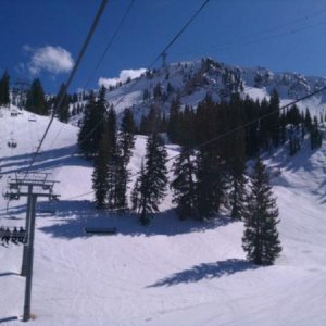 snowbird, utah