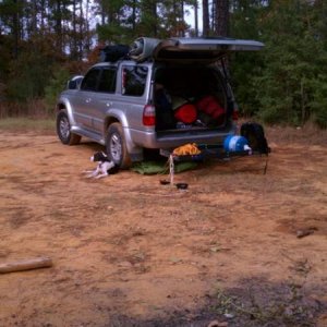 camping with my pup willie nelson on red bluff, mississippi