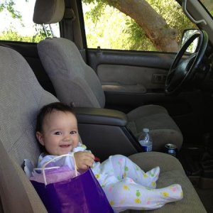 My co-pilot. Loves the 4Runner.