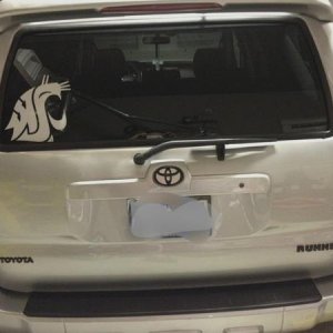 Plasti dipped emblems