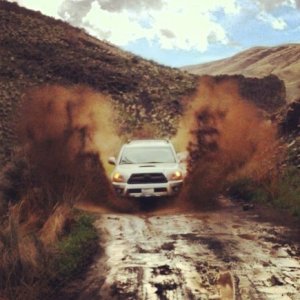 Fun in the mud