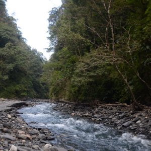 Lots of rivers to follow.