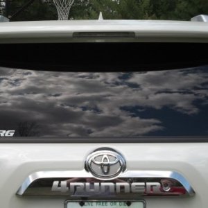 T4R.ORG